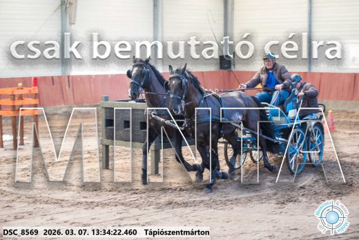 Mintakép 20260307-890