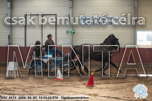 Mintakép 20260307-894