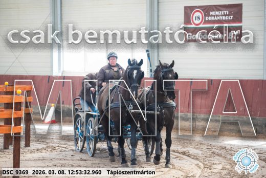 Mintakép 20260308-108