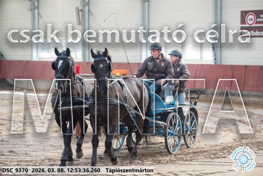 Mintakép 20260308-109