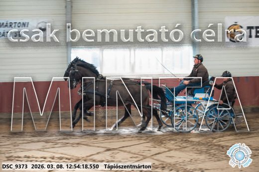 Mintakép 20260308-112