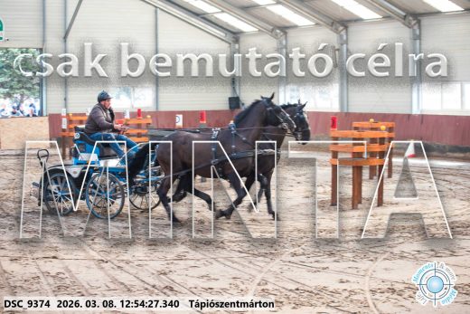 Mintakép 20260308-113