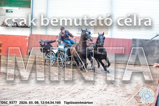 Mintakép 20260308-116