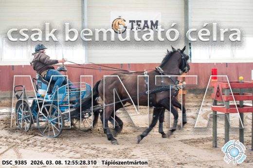 Mintakép 20260308-122