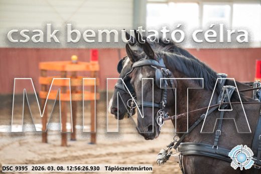 Mintakép 20260308-127