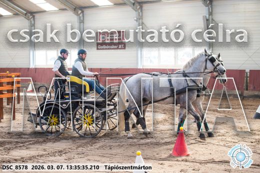 20260307-133535-DSC_8578.jpg