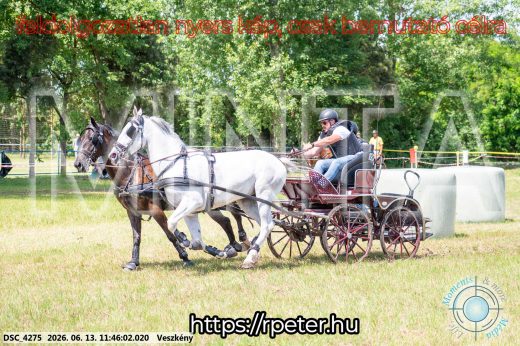 Mintakép 20260613-741