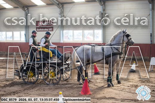 20260307-133537-DSC_8579.jpg