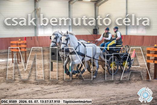 Mintakép 20260307-906
