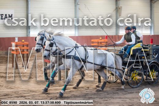 Mintakép 20260307-907