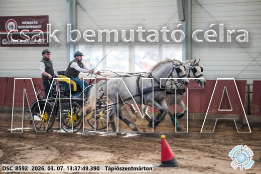 Mintakép 20260307-909
