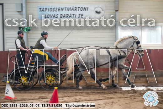 Mintakép 20260307-910