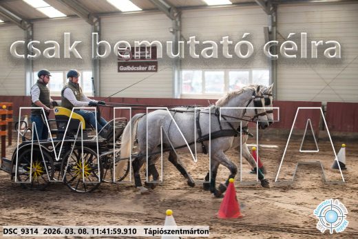 Mintakép 20260308-129
