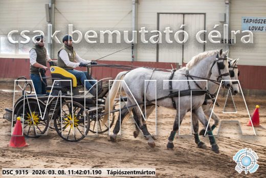 Mintakép 20260308-130