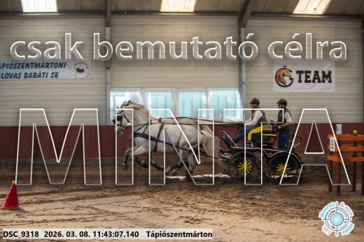 Mintakép 20260308-132