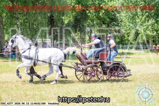 Mintakép 20260613-743