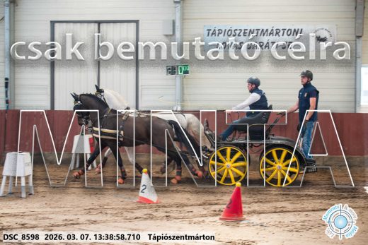 Mintakép 20260307-915