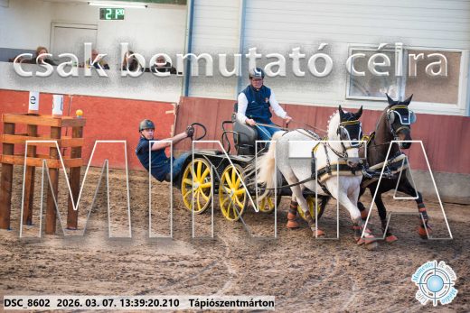 Mintakép 20260307-918