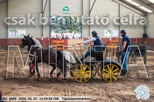 Mintakép 20260307-921