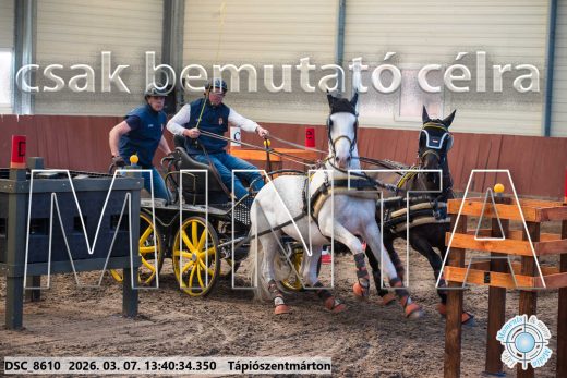 Mintakép 20260307-923