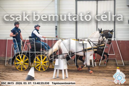 Mintakép 20260307-927