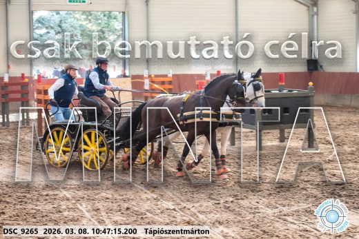 Mintakép 20260308-138