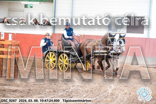 Mintakép 20260308-140