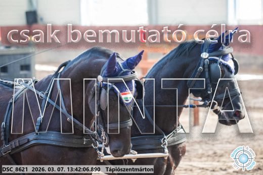 Mintakép 20260307-931