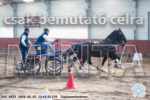 Mintakép 20260307-933