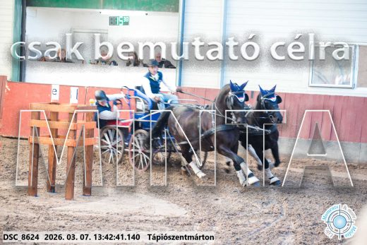 Mintakép 20260307-934