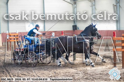 Mintakép 20260307-935