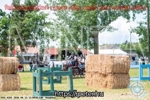 Mintakép 20260613-746