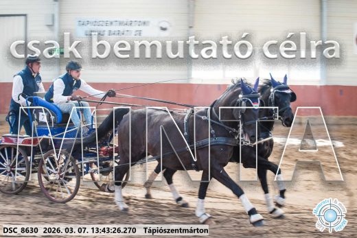 Mintakép 20260307-939