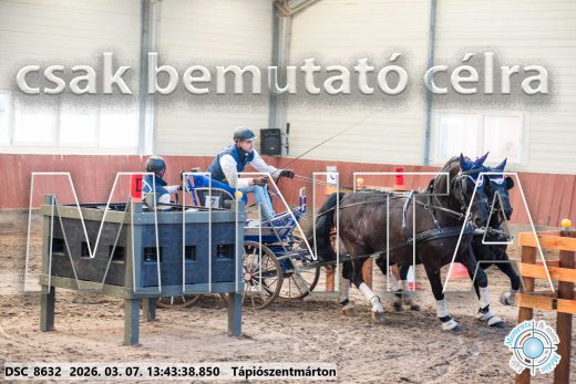 Mintakép 20260307-940