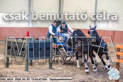 Mintakép 20260307-941