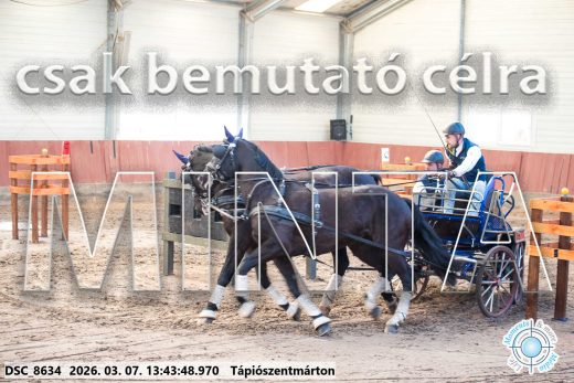 Mintakép 20260307-942