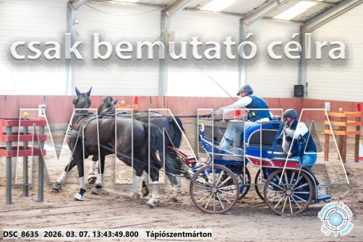 Mintakép 20260307-943