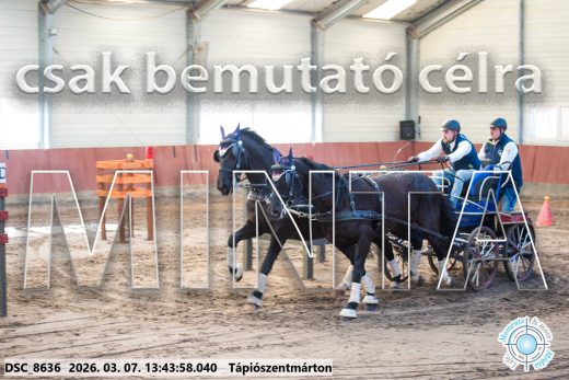 Mintakép 20260307-944