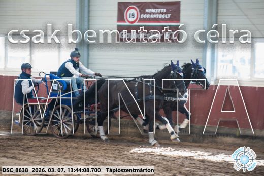 Mintakép 20260307-945
