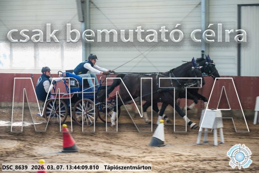 Mintakép 20260307-946