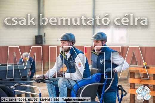 Mintakép 20260307-948