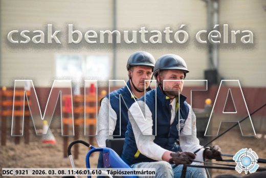 Mintakép 20260308-141