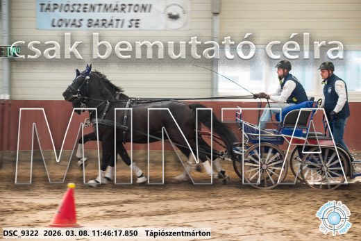 Mintakép 20260308-142
