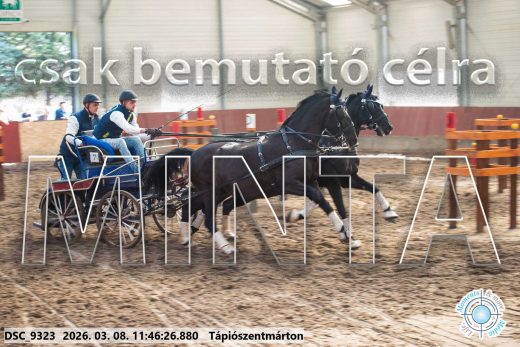 Mintakép 20260308-143