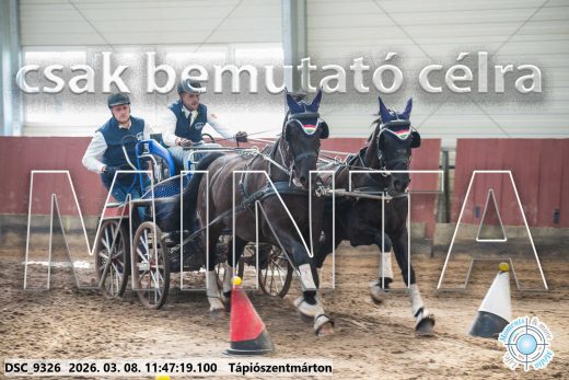 Mintakép 20260308-145