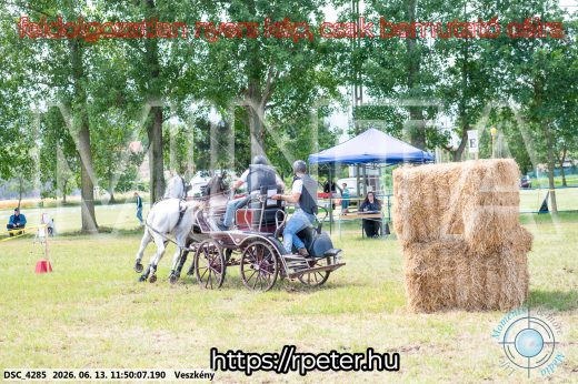 Mintakép 20260613-748