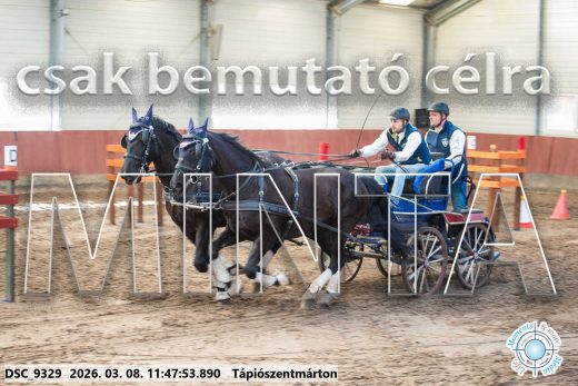 Mintakép 20260308-148