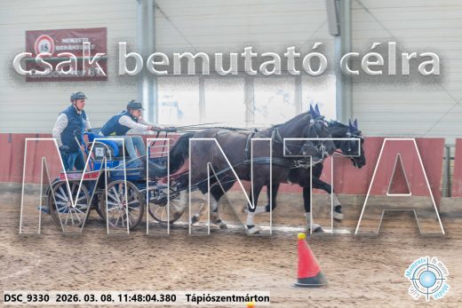 Mintakép 20260308-149