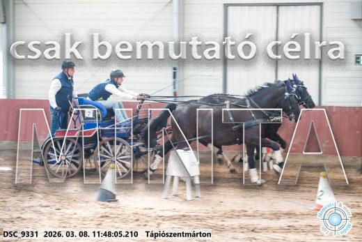 Mintakép 20260308-150
