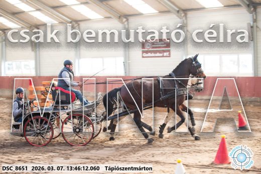 Mintakép 20260307-954